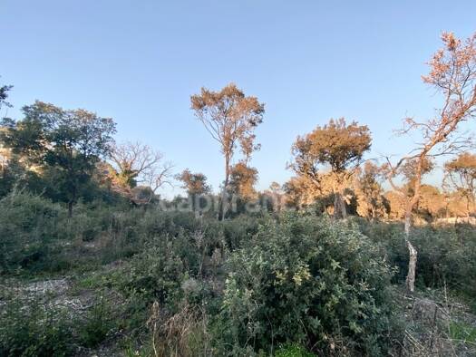 Terrain constructible à vendre 184 000 € 1 816 m² de terrain Aigaliers 30700