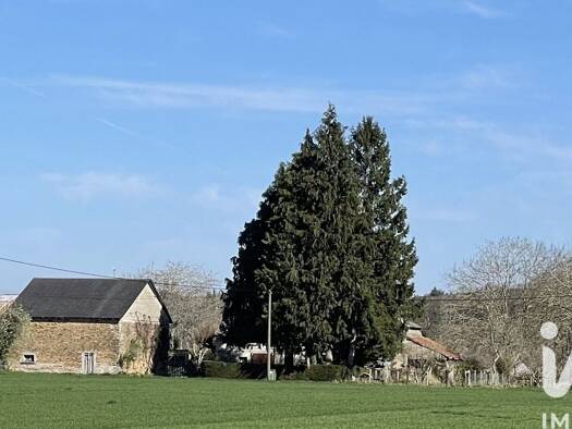 Maison à vendre 110 000 € 4 pièces 3 chambres 81 m² 3 132 m² de terrain Neuvic-Entier 87130