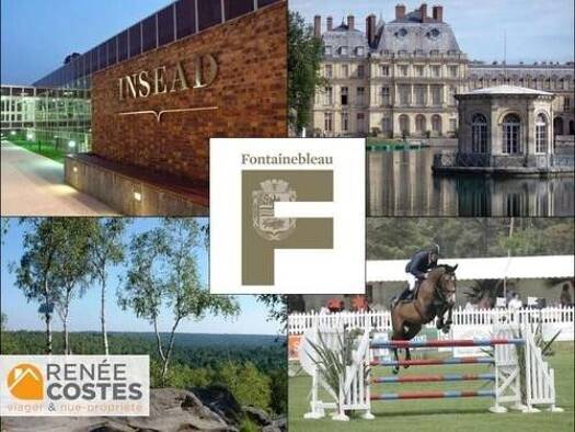 Appartement en viager occupé Bouquet 181 740 € 3 pièces 1 chambre 82 m² Étage 1/2 Centre Ville Nord Est Fontainebleau 77300