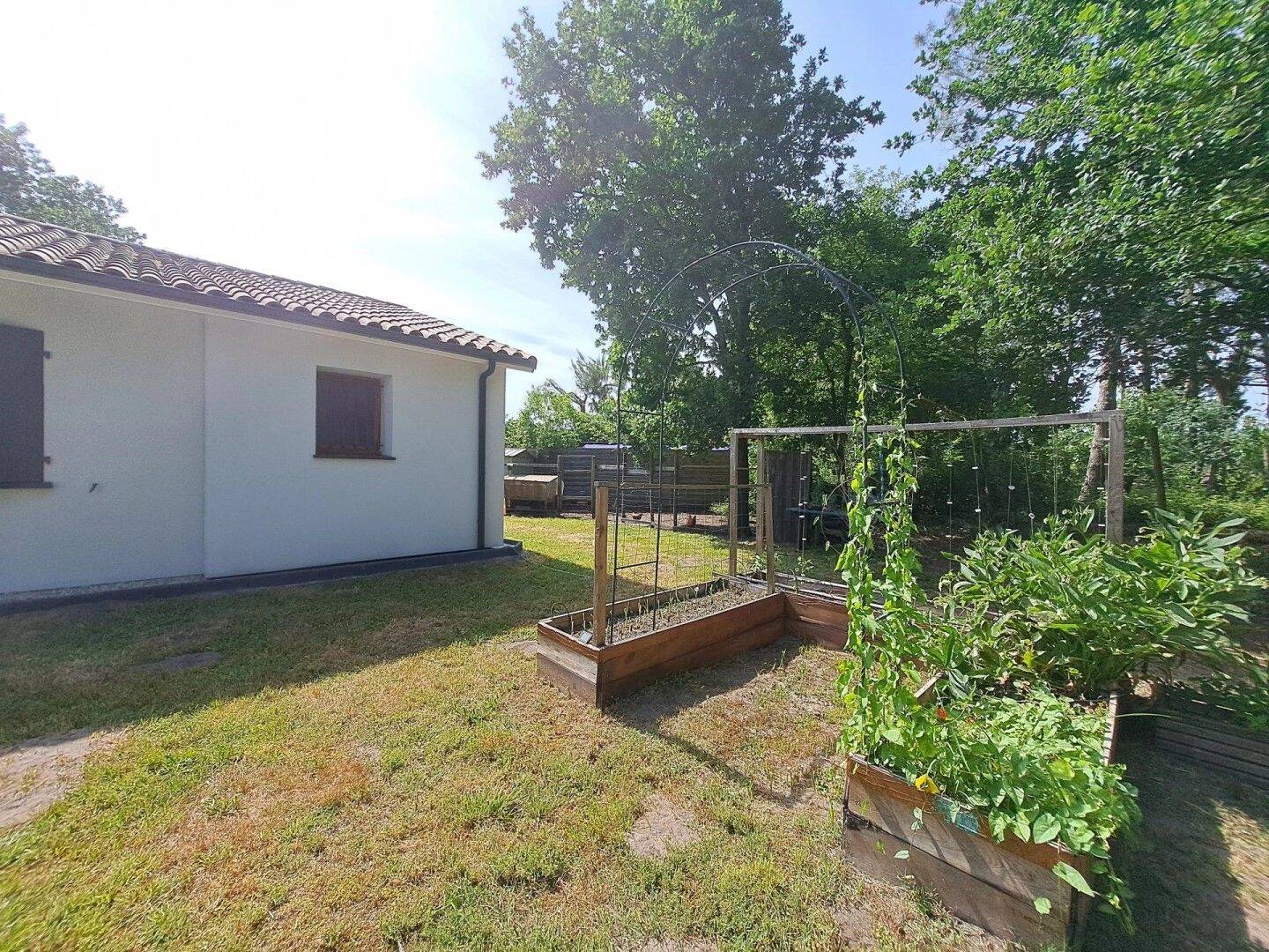 Maison à louer, 0m², SAUGNACQ ET MURET