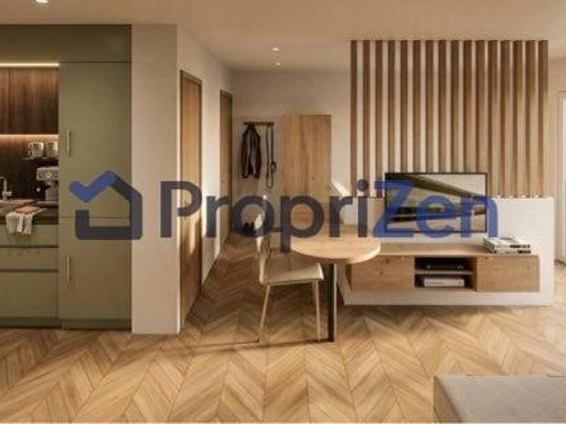 Maison à louer, 30m², VILLEFRANCHE SUR SAONE