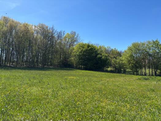 Terrain constructible à vendre 46 000 € 3 000 m² de terrain Vigan-en-Quercy 46300