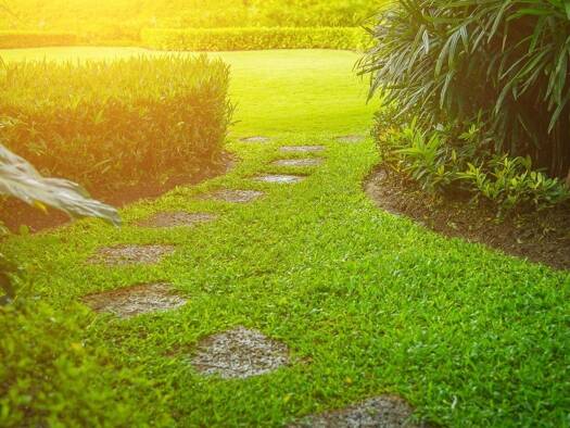 Terrain constructible à vendre 50 000 € 1 300 m² de terrain Saint Martin-Saint Etienne Nevers 58000