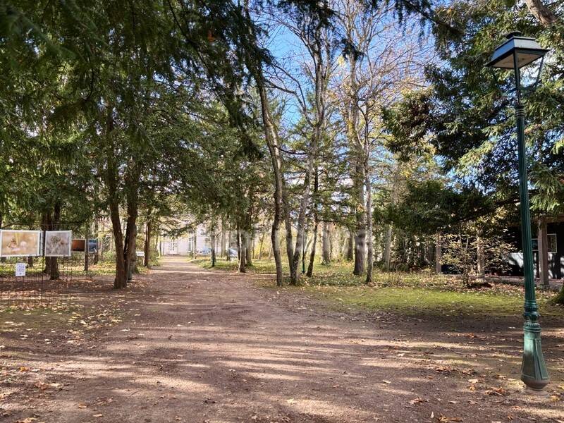 Maison à louer, 119m², LA CHAPELLE SAINT MESMIN