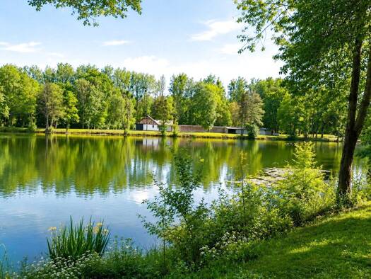 Villa à vendre 1 130 000 € 12 pièces 9 chambres 320 m² 70 000 m² de terrain Saint-Maurice-Montcouronne 91530