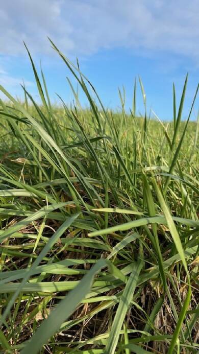Terrain viabilisé à vendre 82 000 € 773 m² de terrain Lenoncourt 54110