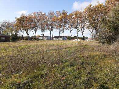 Terrain à vendre 81 700 € 2 339 m² de terrain Cadours 31480