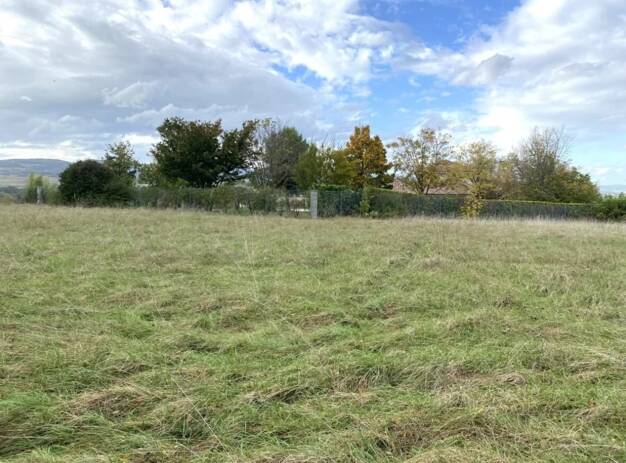 Terrain viabilisé à vendre 265 000 € 1 556 m² de terrain Anse 69480