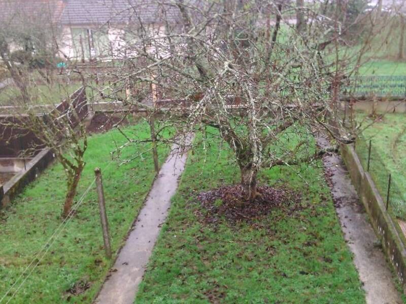 Maison à louer, 81m², LIMOGES