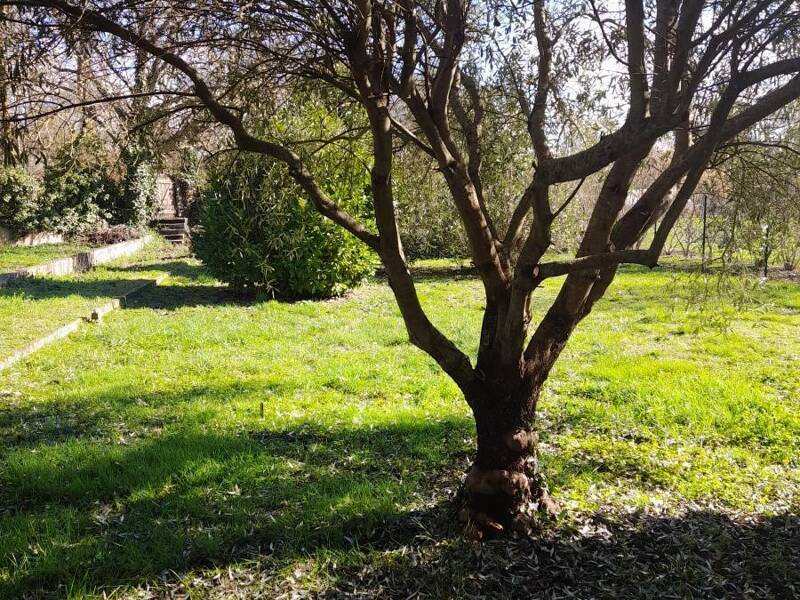 Maison à vendre, 145m², AUCH