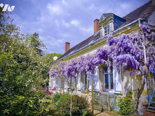 Maison à vendre 280 530 € 10 pièces 6 chambres 249 m² 2 378 m² de terrain Lunay 41360