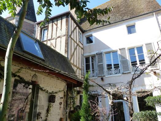 Maison en viager occupé Bouquet 24 500 € 10 pièces 4 chambres 300 m² 246 m² de terrain Châtillon-sur-Loire 45360