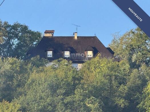 Maison à vendre 498 000 € 8 pièces 4 chambres 250 m² 37 500 m² de terrain Pareau Coulounieix-Chamiers 24660