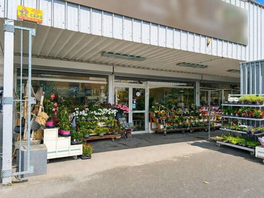 Local commercial à vendre 220 000 € 238 m² de surface de vente Sud Montigny-en-Ostrevent 59182
