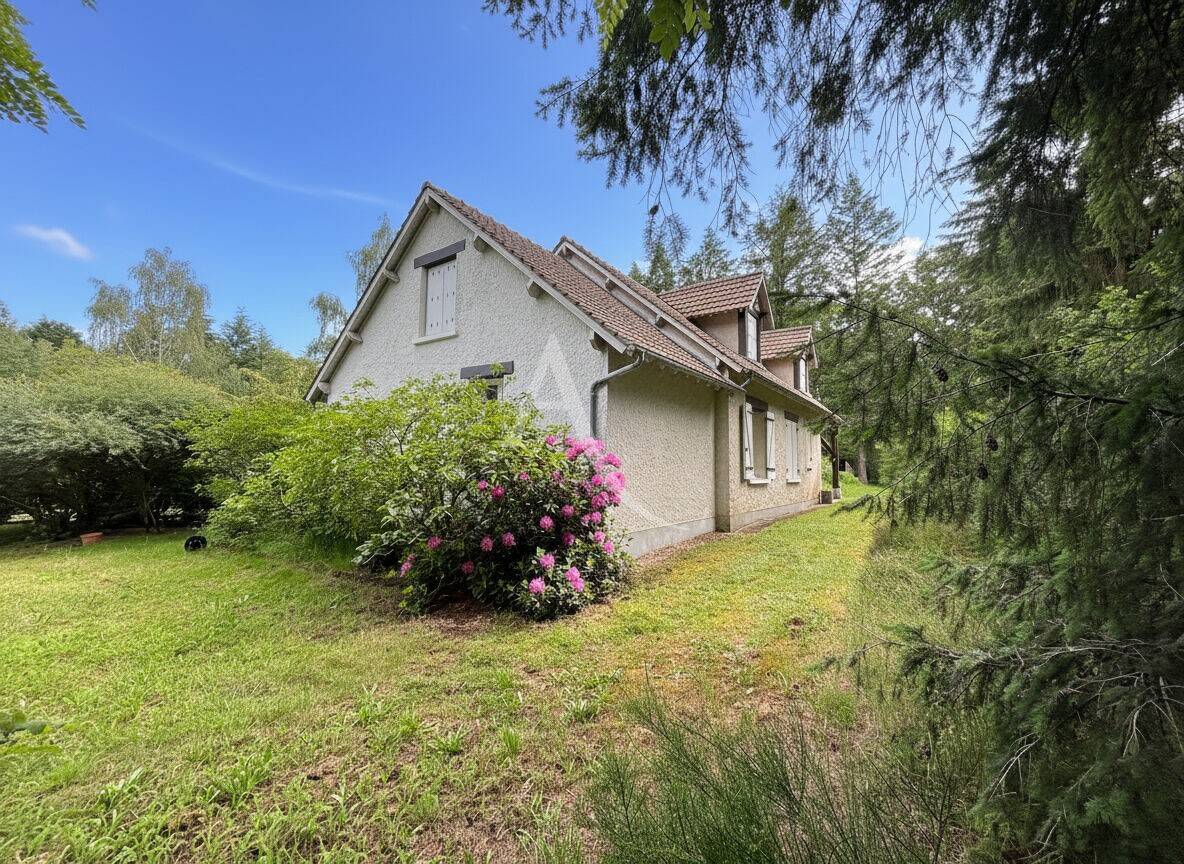 Maison à vendre, 138m², NOUAN LE FUZELIER
