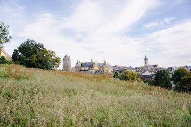 Terrain constructible à vendre 135 000 € 336 m² de terrain Sud Châteaugiron 35410