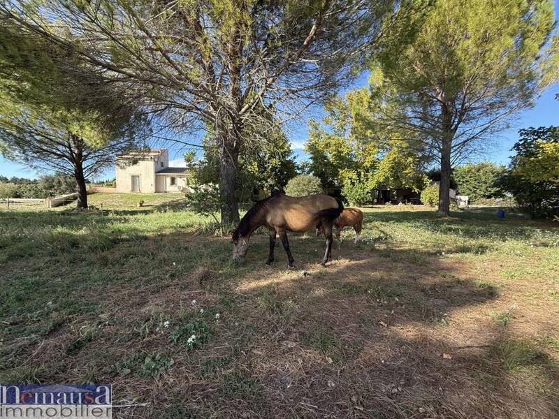 Maison à vendre, 231m², NIMES