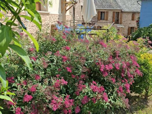 Maison à vendre 470 000 € 12 pièces 8 chambres 300 m² 4 404 m² de terrain La Salvetat-Peyralès 12440