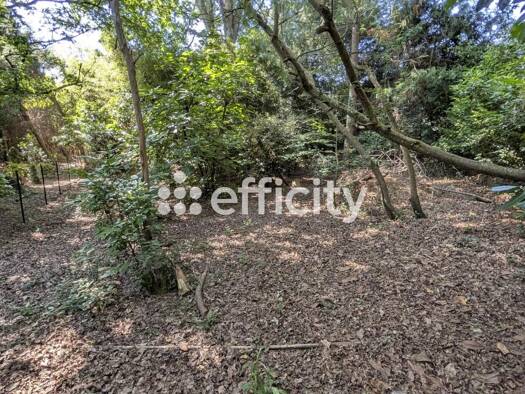 Terrain constructible viabilisé à vendre 97 000 € 1 057 m² de terrain Biarnes Saint-Pierre-du-Mont 40280