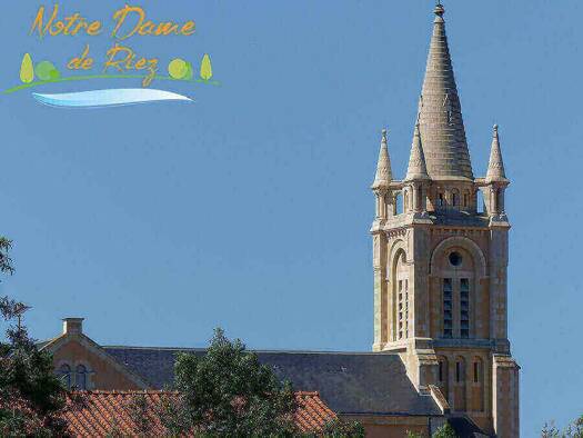 Terrain constructible viabilisé à vendre 56 250 € 310 m² de terrain Notre-Dame-de-Riez 85270