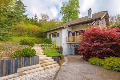 Maison à vendre 900 000 € 5 pièces 4 chambres 180 m² 4 106 m² de terrain Ouest Gex 01170