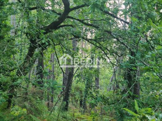 Terrain à vendre 13 000 € 8 180 m² de terrain Le Teich 33470