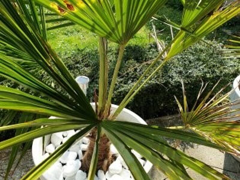 Maison à louer, 15m², LE HAVRE