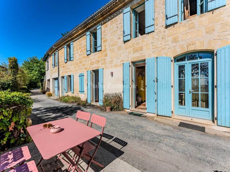 Maison à vendre, 318m², LANGOIRAN