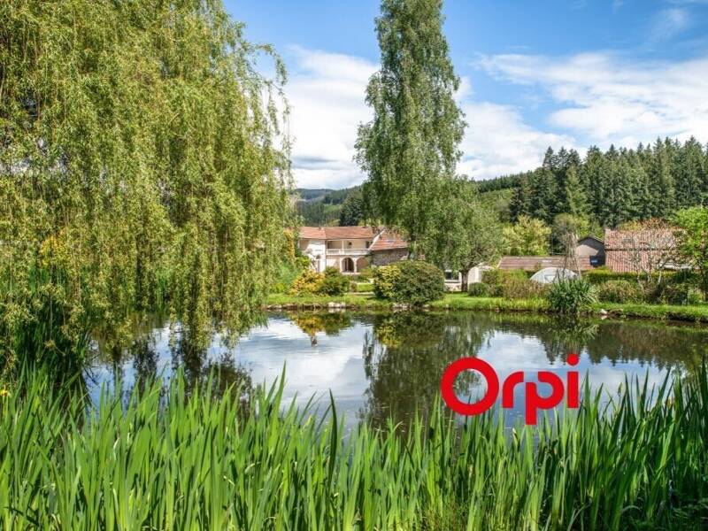 Maison à vendre, 316m², SAINT VINCENT DE REINS