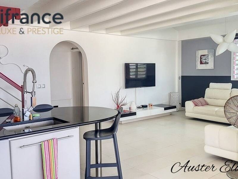 Maison à vendre, 250m², LE MOULE