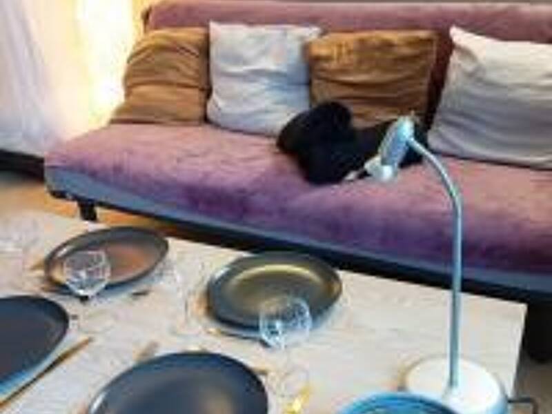 Maison à louer, 20m², REIMS