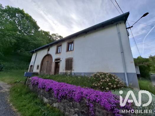 Maison à vendre 76 000 € 3 pièces 2 chambres 103 m² 1 890 m² de terrain La Croix-aux-Mines 88520