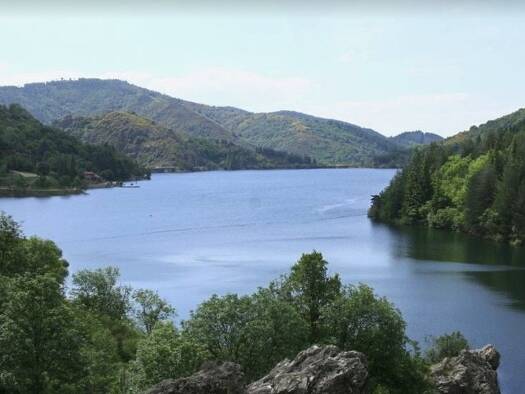 Maison en viager occupé Bouquet 54 586 € 6 pièces 3 chambres 84,7 m² 691 m² de terrain Villefort 48800