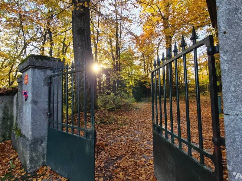 Maison à vendre, 785m², HOUDEMONT