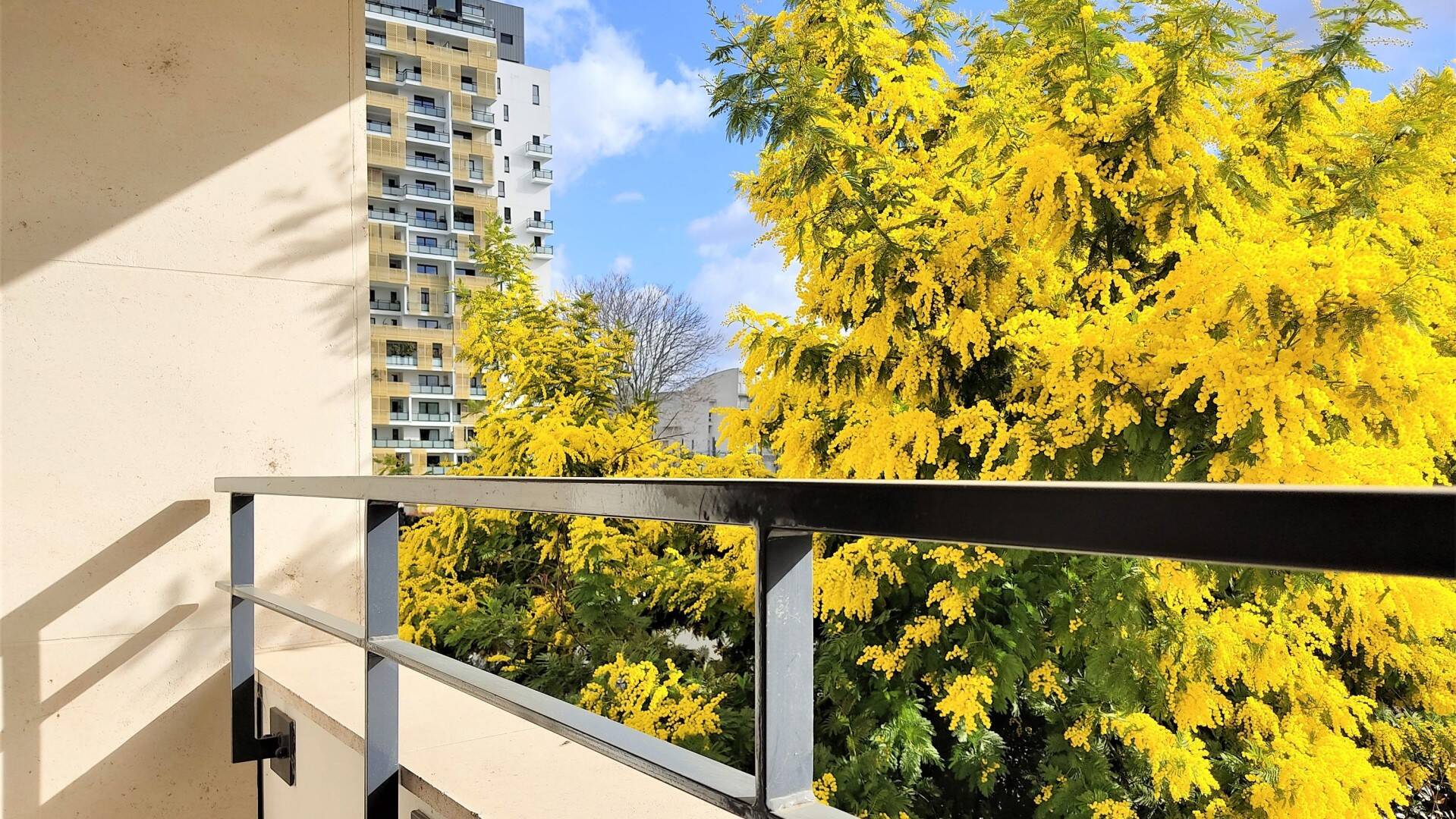 Maison à louer, 56m², ISSY LES MOULINEAUX