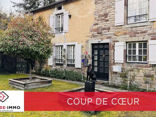 Maison à vendre 230 000 € 7 pièces 4 chambres 168 m² 647 m² de terrain Fontenoy-le-Château 88240