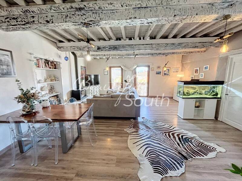 Maison à vendre, 316m², MONTESQUIEU DES ALBERES