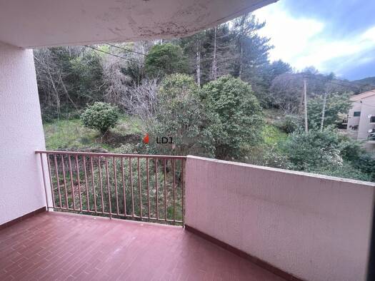 Appartement à vendre 43 800 € 1 pièce 22 m² RDC Amélie-les-Bains-Palalda 66110