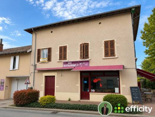 Activités diverses à vendre Fonds de commerce 66 000 € 93 m² de surface de vente Chaneins 01990