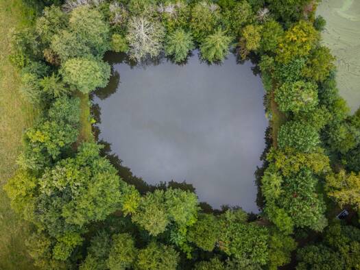 Terrain à vendre 33 500 € 4 215 m² de terrain Fougerolles 36230