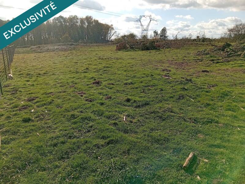 Maison à vendre, 425m², LARUSCADE