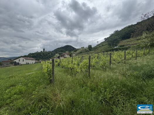 Terrain constructible viabilisé à vendre 113 000 € 1 130 m² de terrain Arras-sur-Rhône 07370