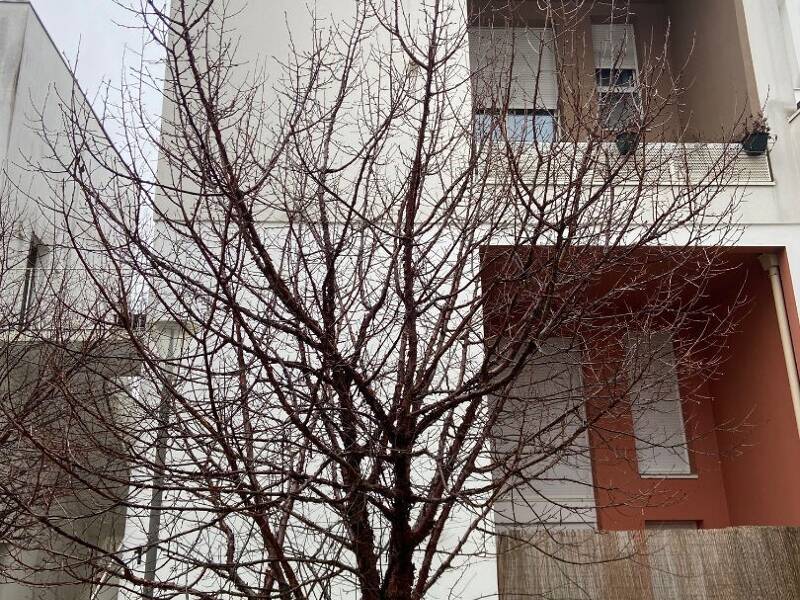 Maison à louer, 67m², STAINS