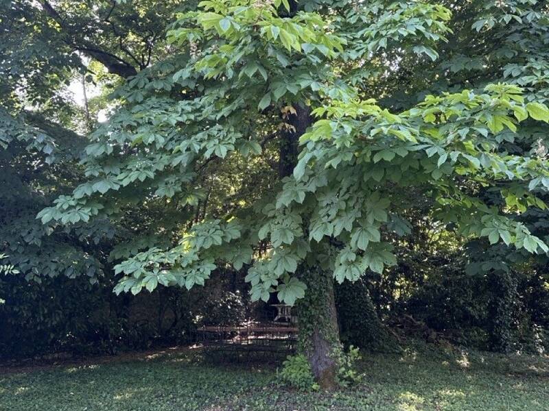 Maison à vendre, 260m², TOURS