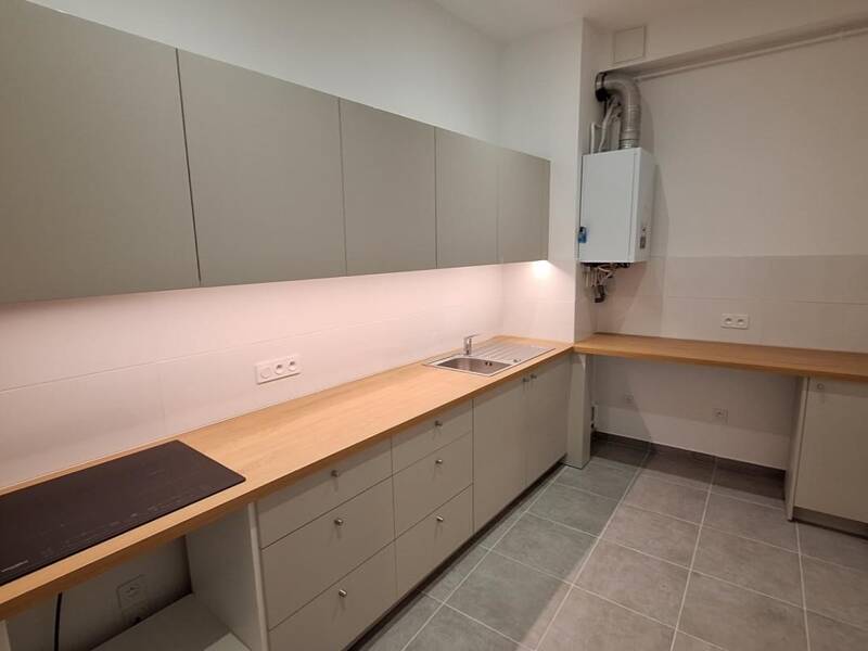 Maison à louer, 79m², LYON 1ER