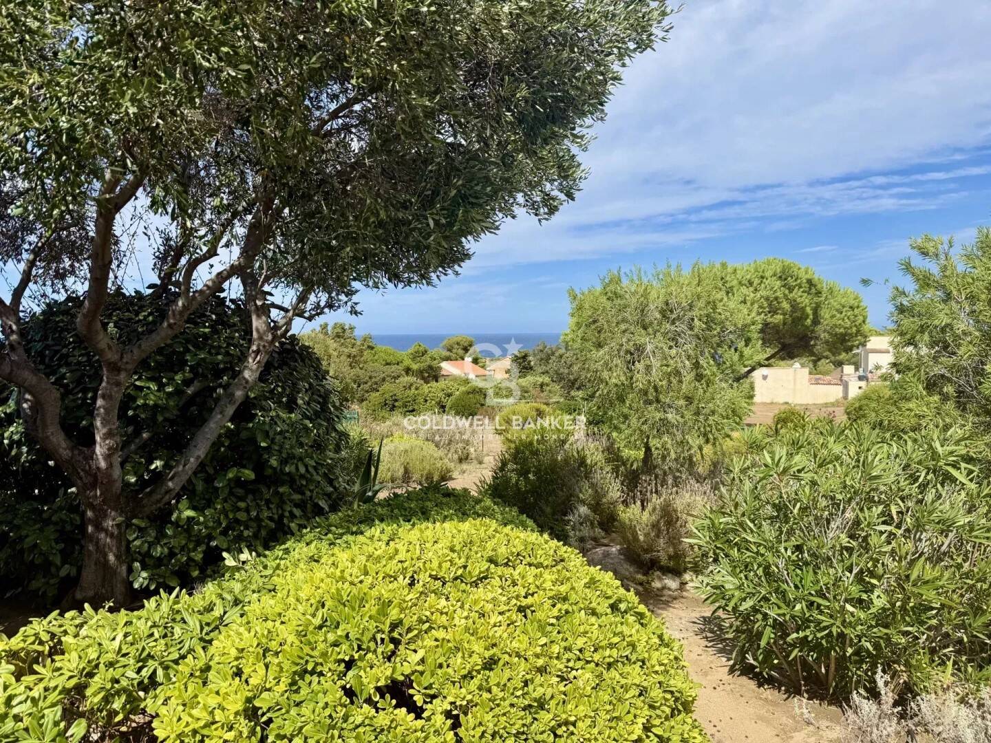Maison à vendre, 48m², LUMIO