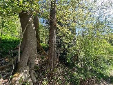 Terrain à vendre 127 200 € 57 029 m² de terrain Saint Paul Pont Audemer 27500