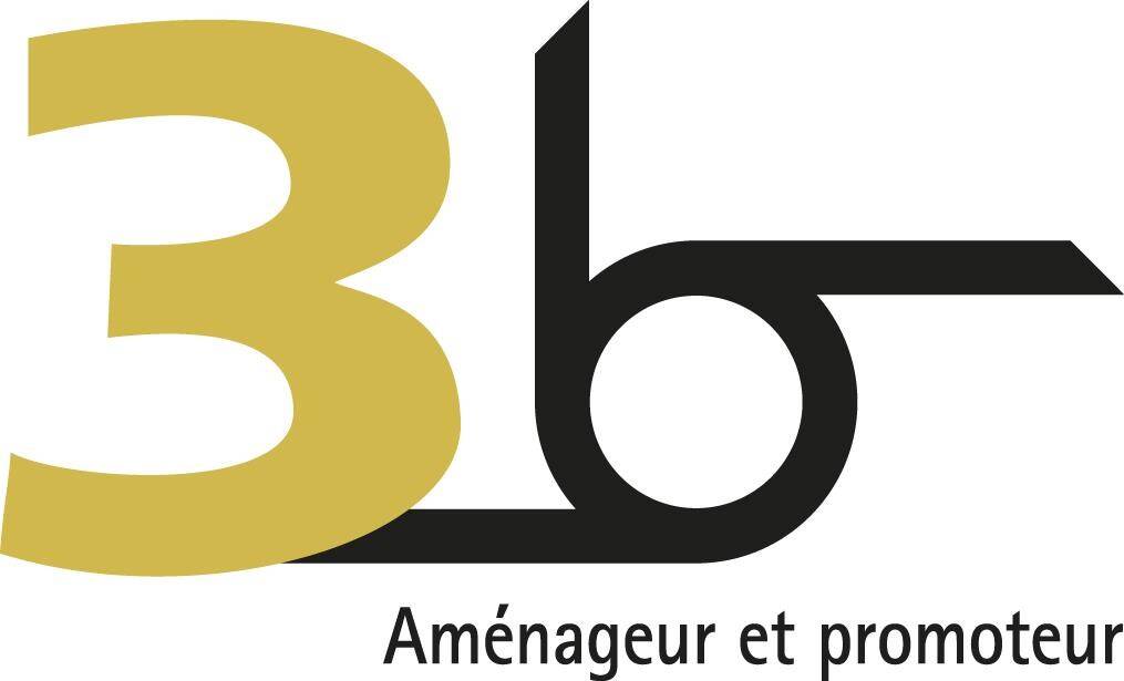 3B