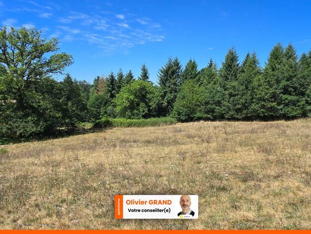 Terrain constructible à vendre 49 500 € 8 875 m² de terrain Peyrilhac 87510