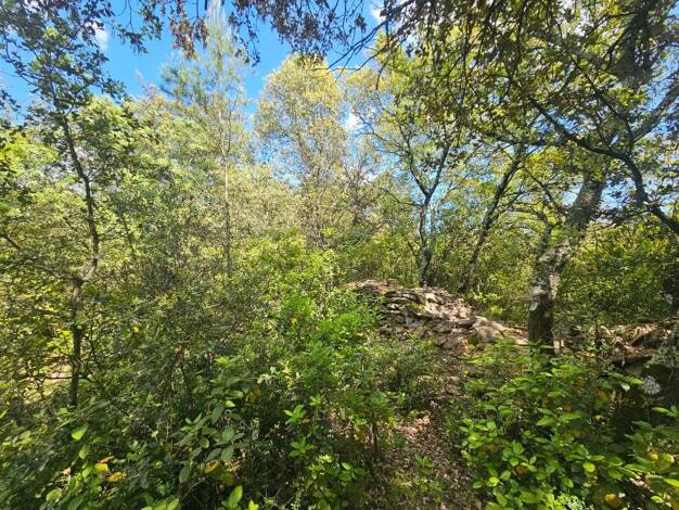 Terrain à vendre 29 000 € 5 749 m² de terrain Villevieille 30250